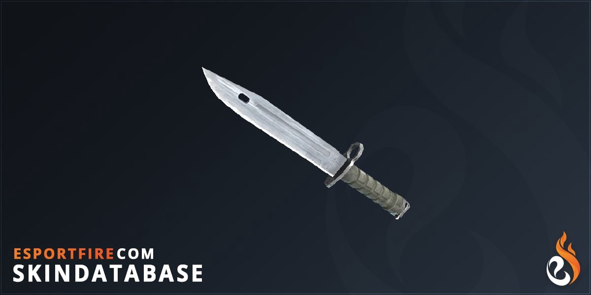 Browse and buy all CS2 Bayonet Knife Skins - EsportFire.com