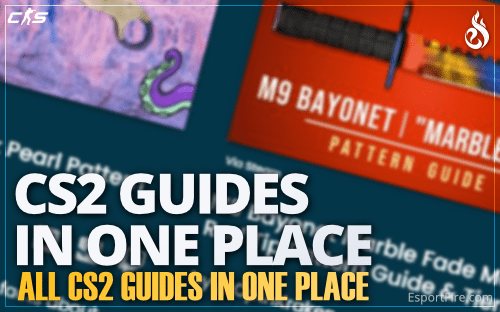 Thumbnail of article Where to find all CS2 guides?