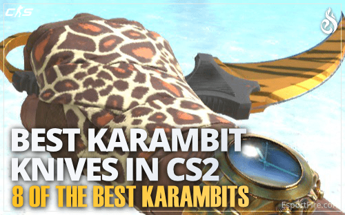 Thumbnail of article A list with the best Karambit knives in CS2