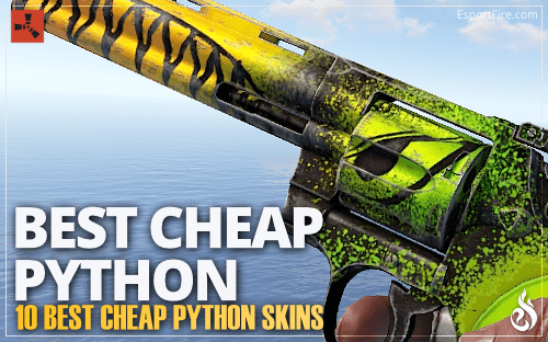 Thumbnail of article Best Cheap Python Skins in Rust