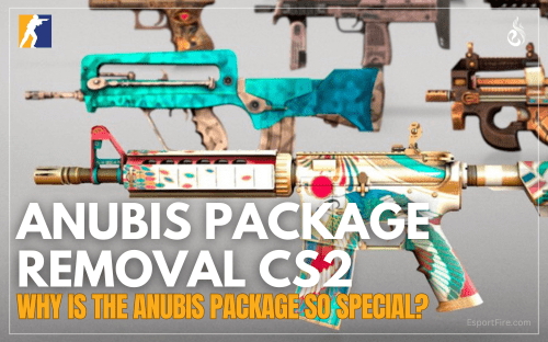 Thumbnail of article Why is the Anubis Package so special?
