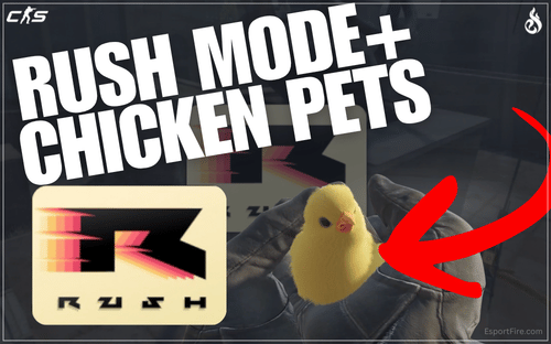 Thumbnail of article Rush Hour and Chicken Pets - CS2 Update