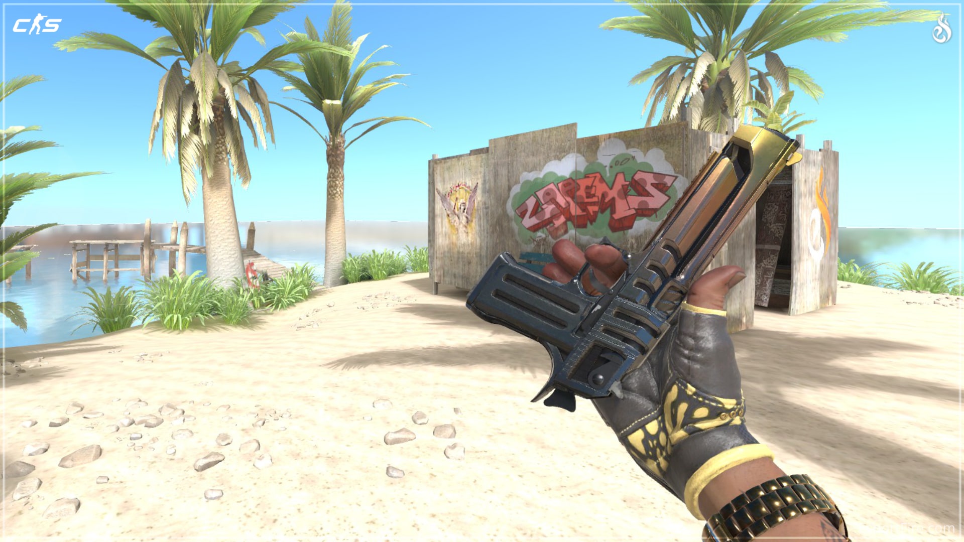 Best Cheap Deagle Skins in CS2