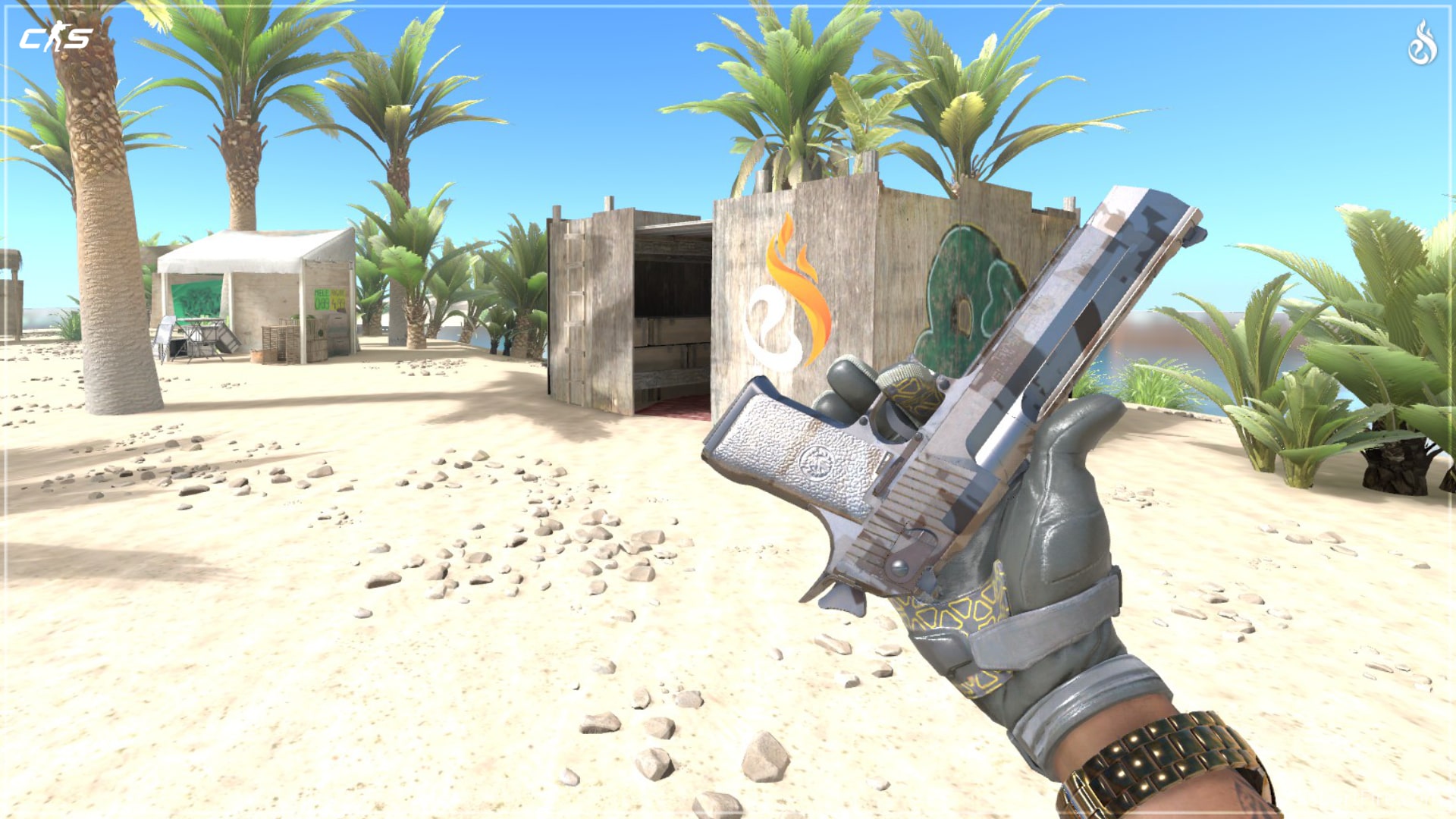 Best Cheap Deagle Skins in CS2