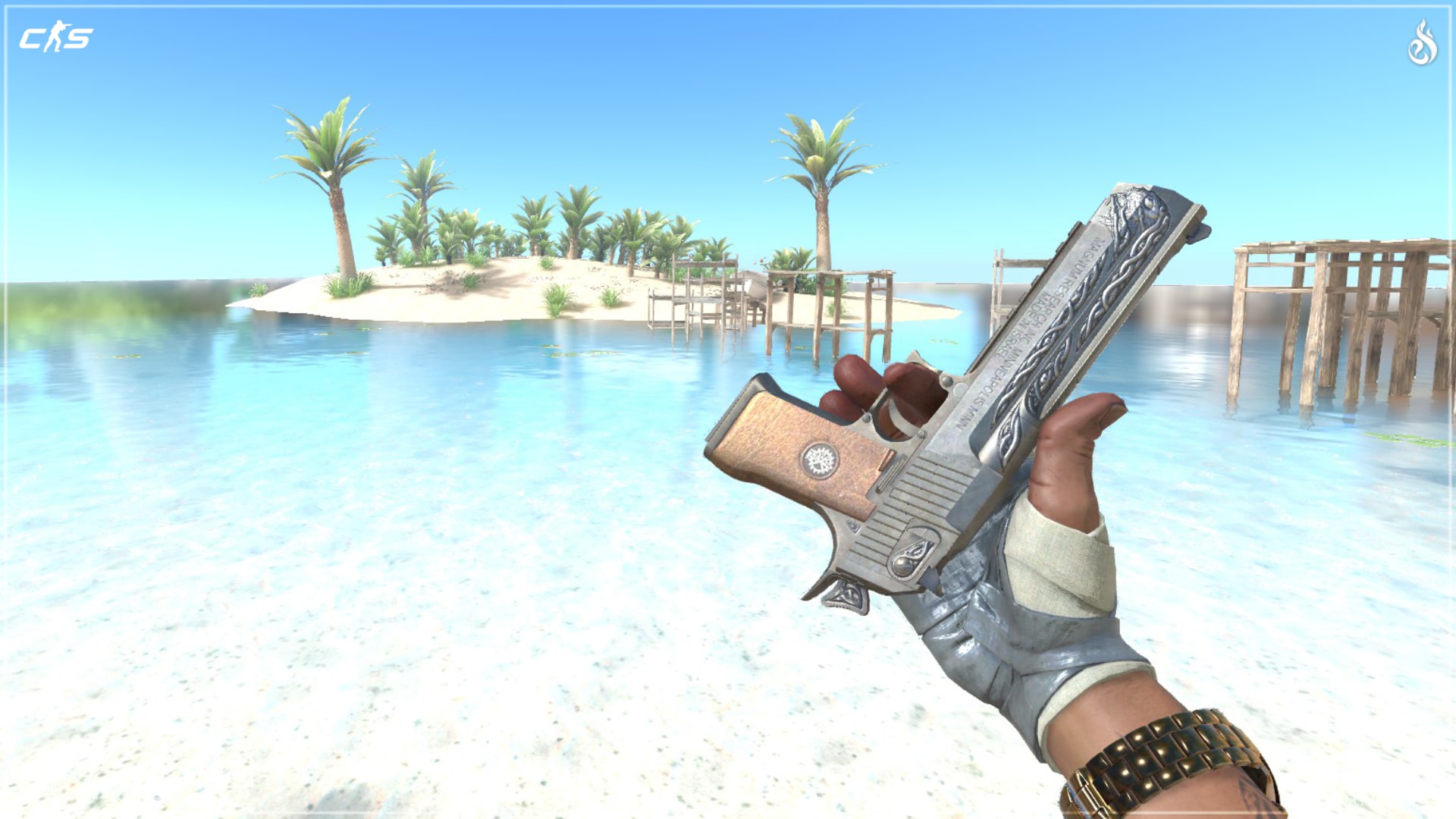 Best Cheap Deagle Skins in CS2