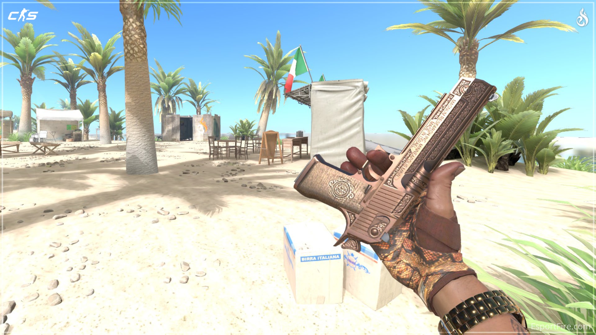 Best Cheap Deagle Skins in CS2