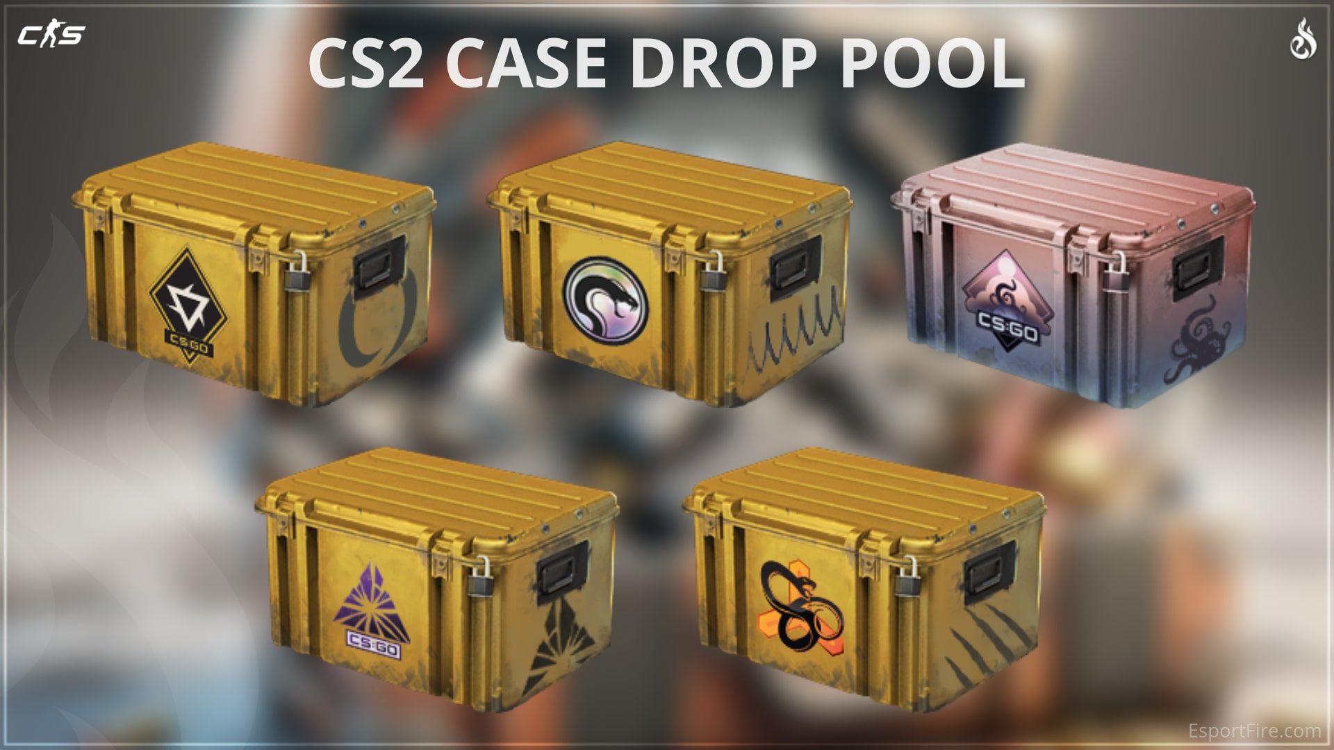 CS2 Case Drop Pool