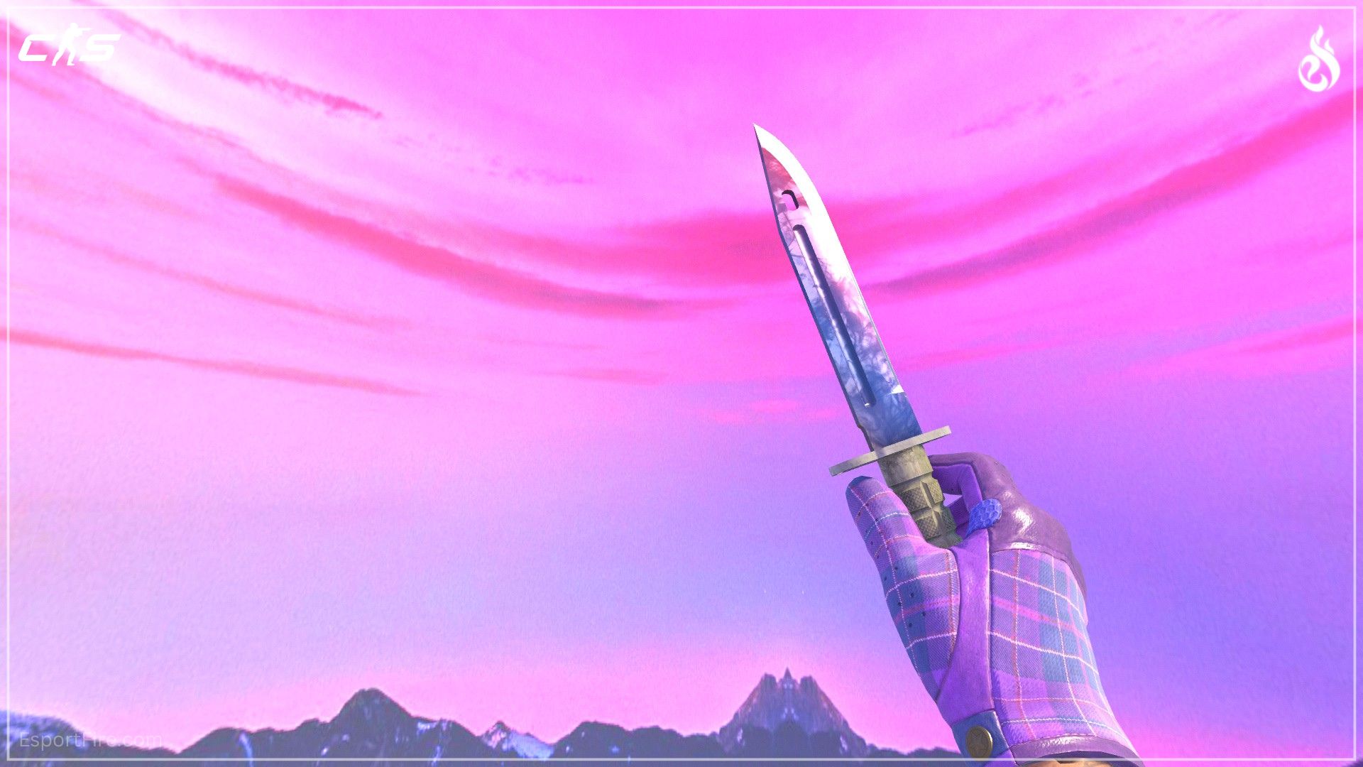 Purple Knife and Glove Combo Bayonet Doppler Phase 1 and Driver Gloves Imperial Plaid CS2 loadout