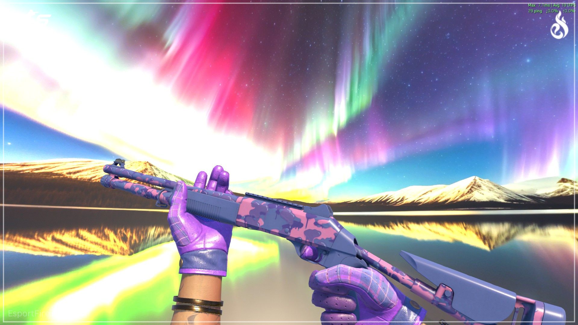 XM1014 Gum Wall Camo skin CS2 loadout