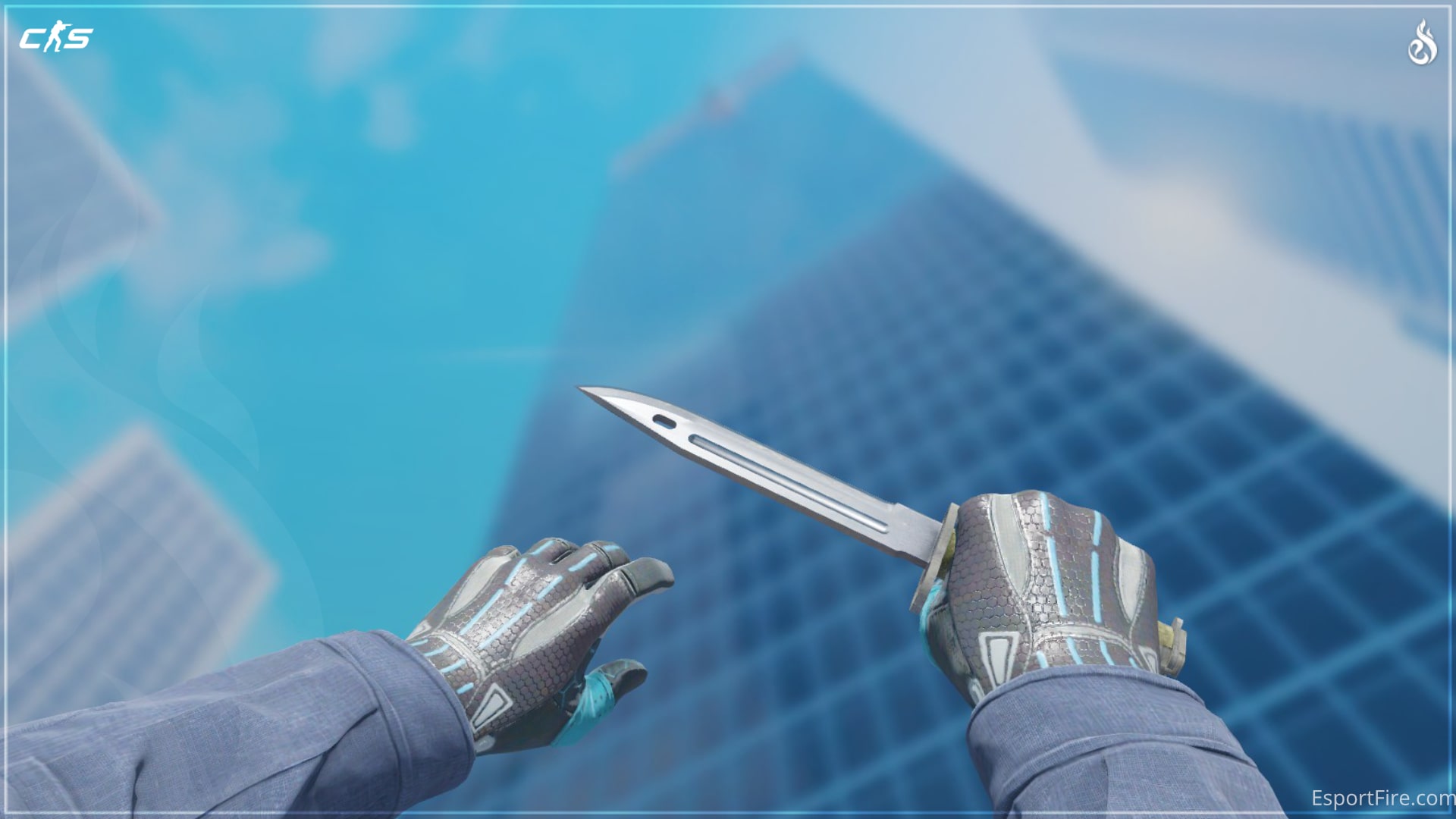 CS2 Knife Glove Combos 2025