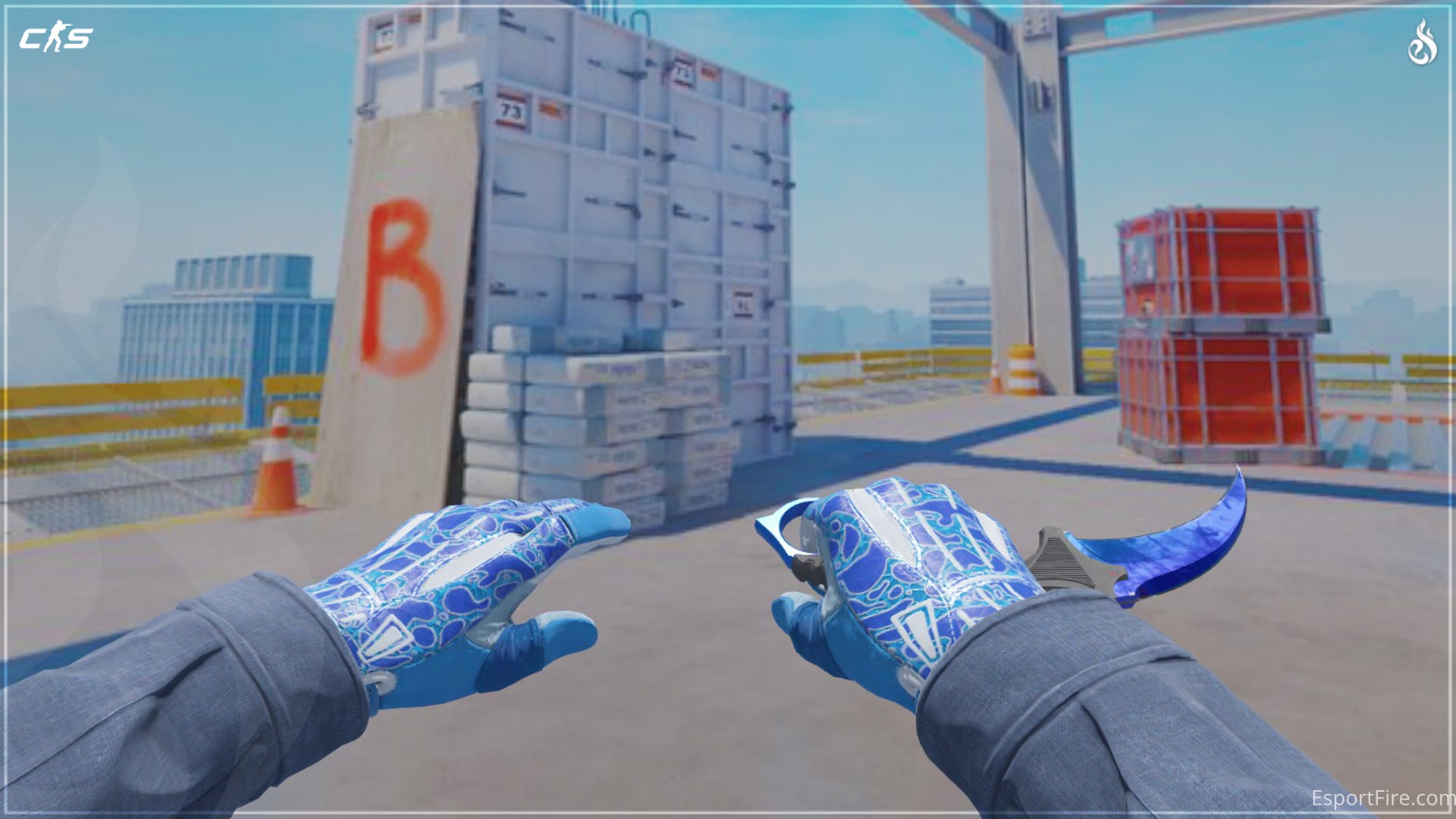 CS2 Knife Glove Combos 2025