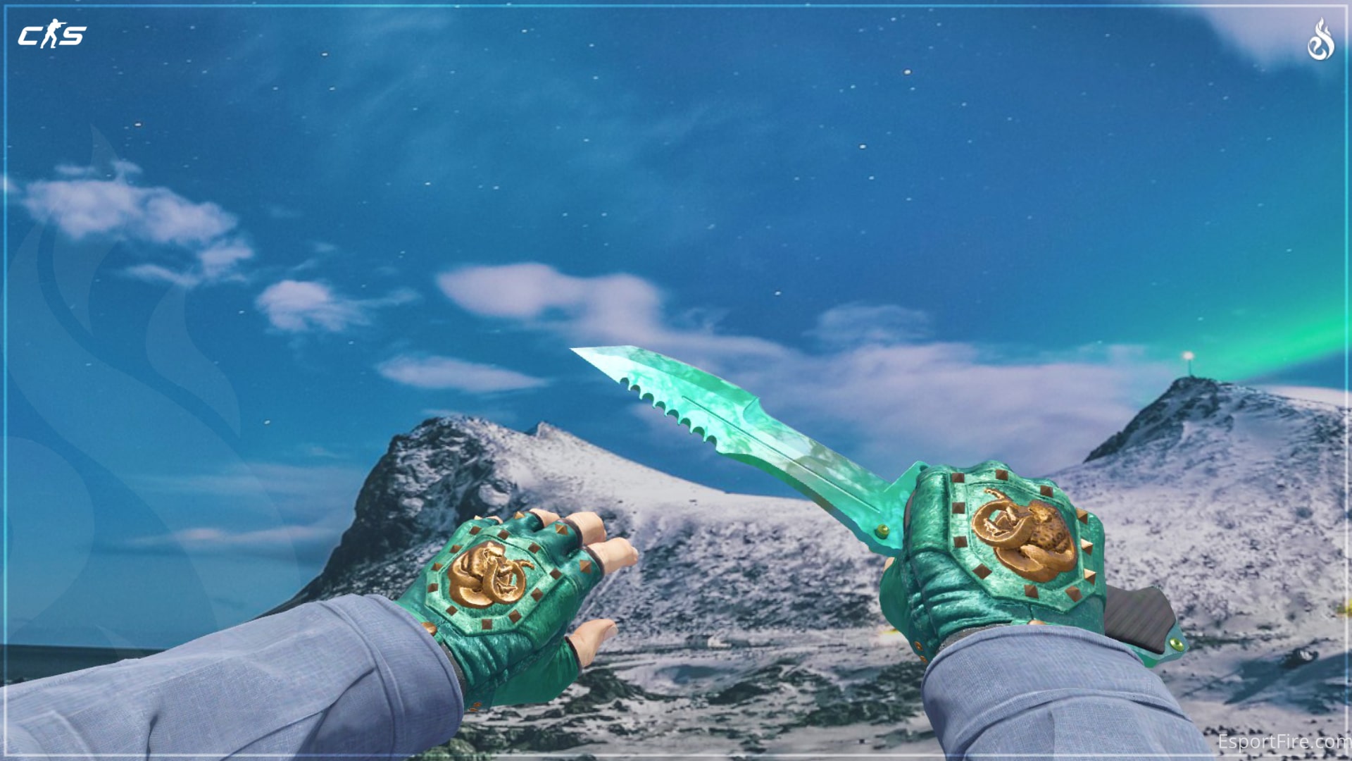 CS2 Knife Glove Combos 2025