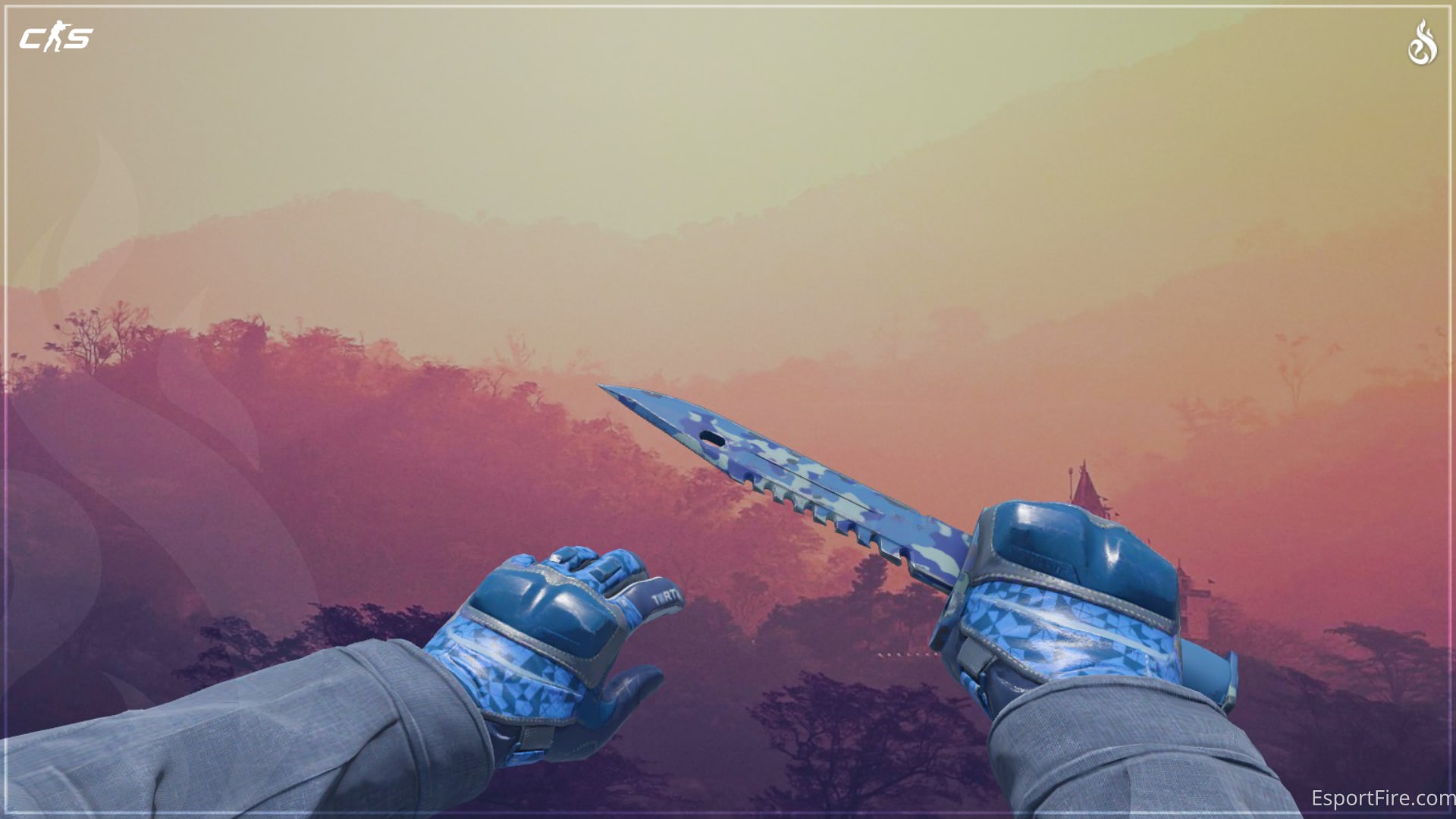 CS2 Knife Glove Combos 2025