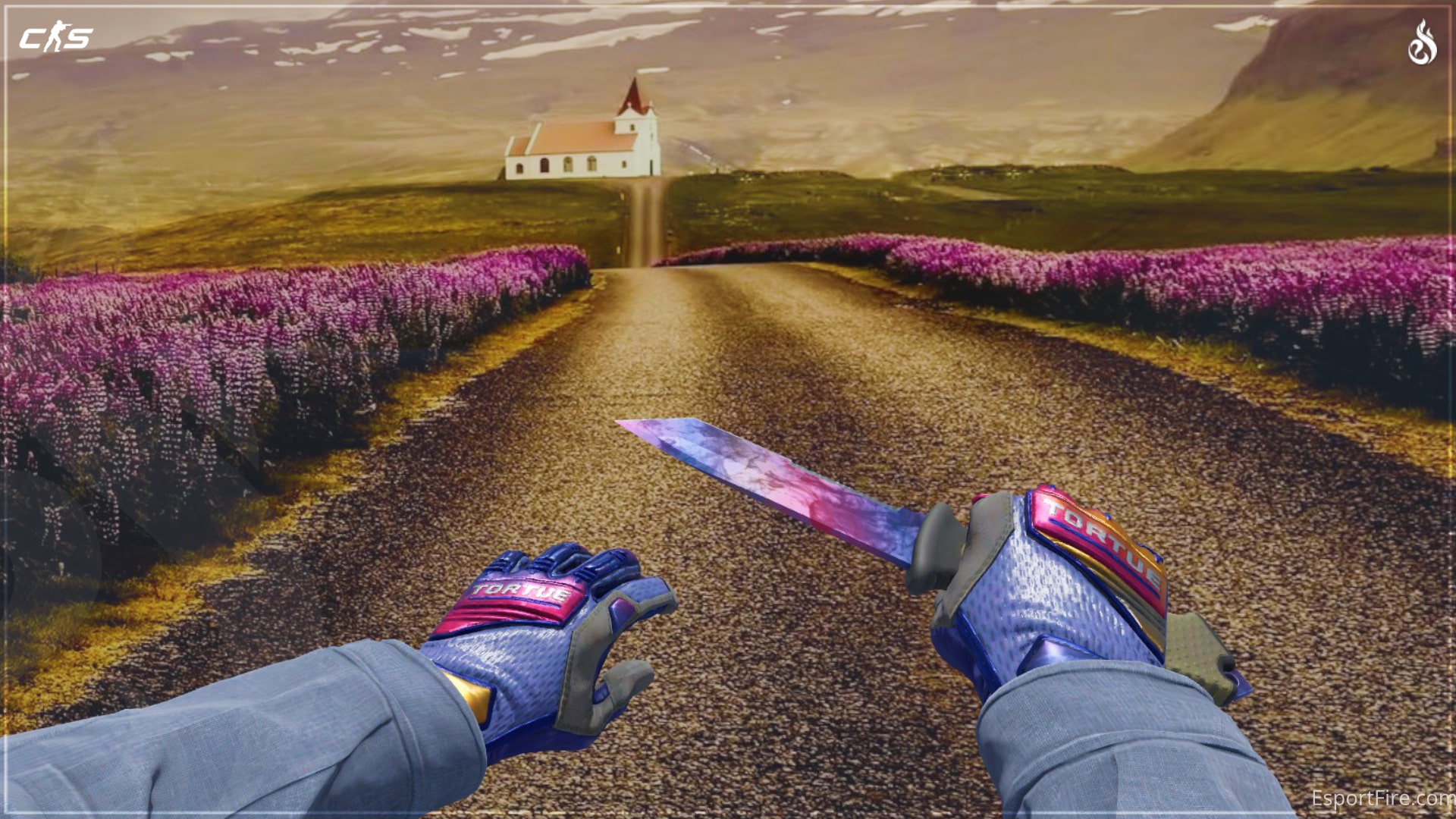 CS2 Knife Glove Combos 2025