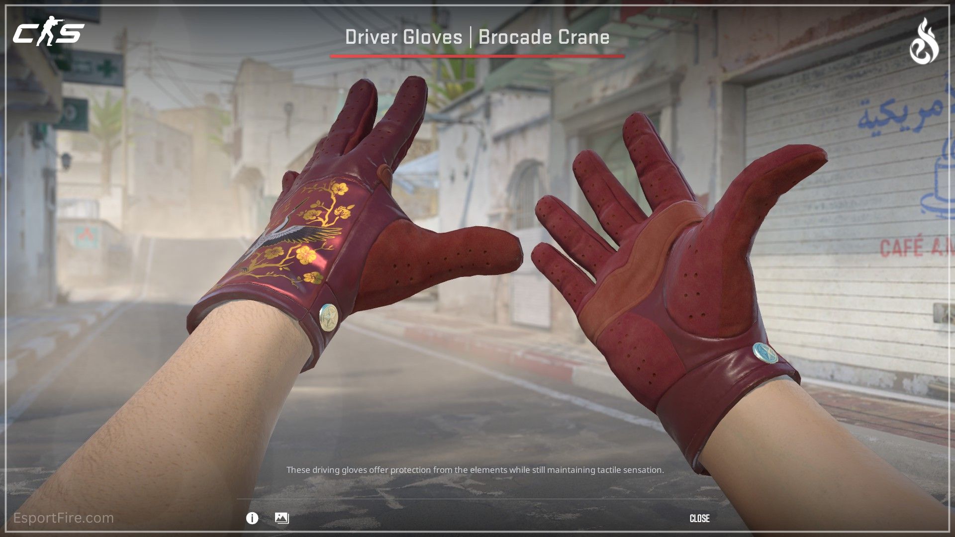 All Dead Hand collection gloves showcase Driver Gloves Brocade Crane new red and gold CS2 gloves