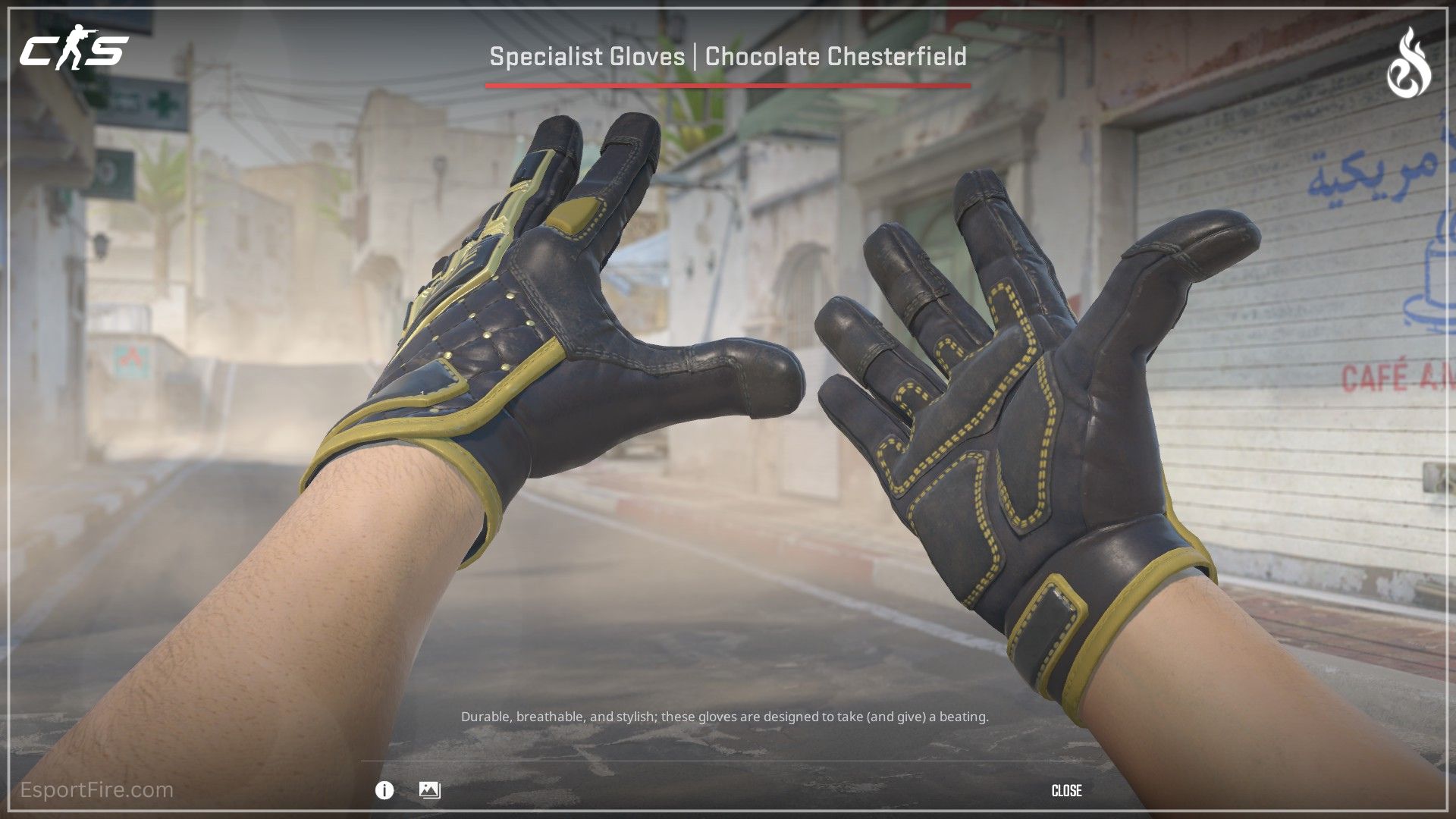 CS2 Dead Hand collection new gloves