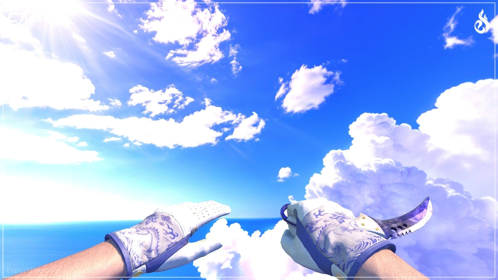 Best glove knife combos CS2 Wave Chaser gloves and Talon Knife Doppler Phase 4 blue combo best cs2 knife and glove combo