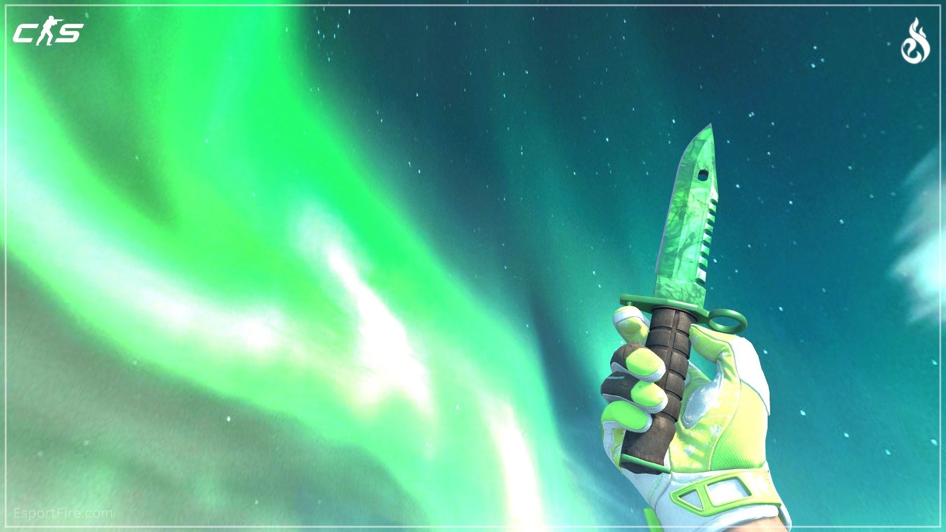 CS2 Hedge Maze and M9 Bayonet Emerald green knife glove combo in 2026