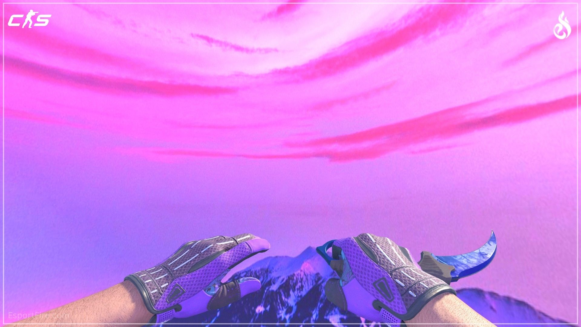 CS2 Pandora's Box and Karambit Sapphire knife glove combo