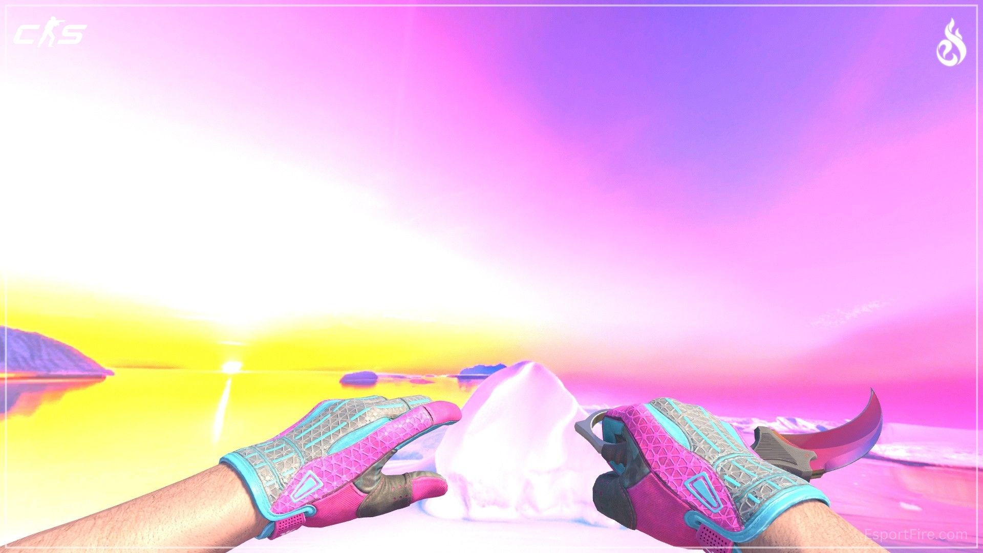 best knife and glove combo CS2 Vice gloves and Karambit Fade high tier knife and glove combo cs2 best combo 2026