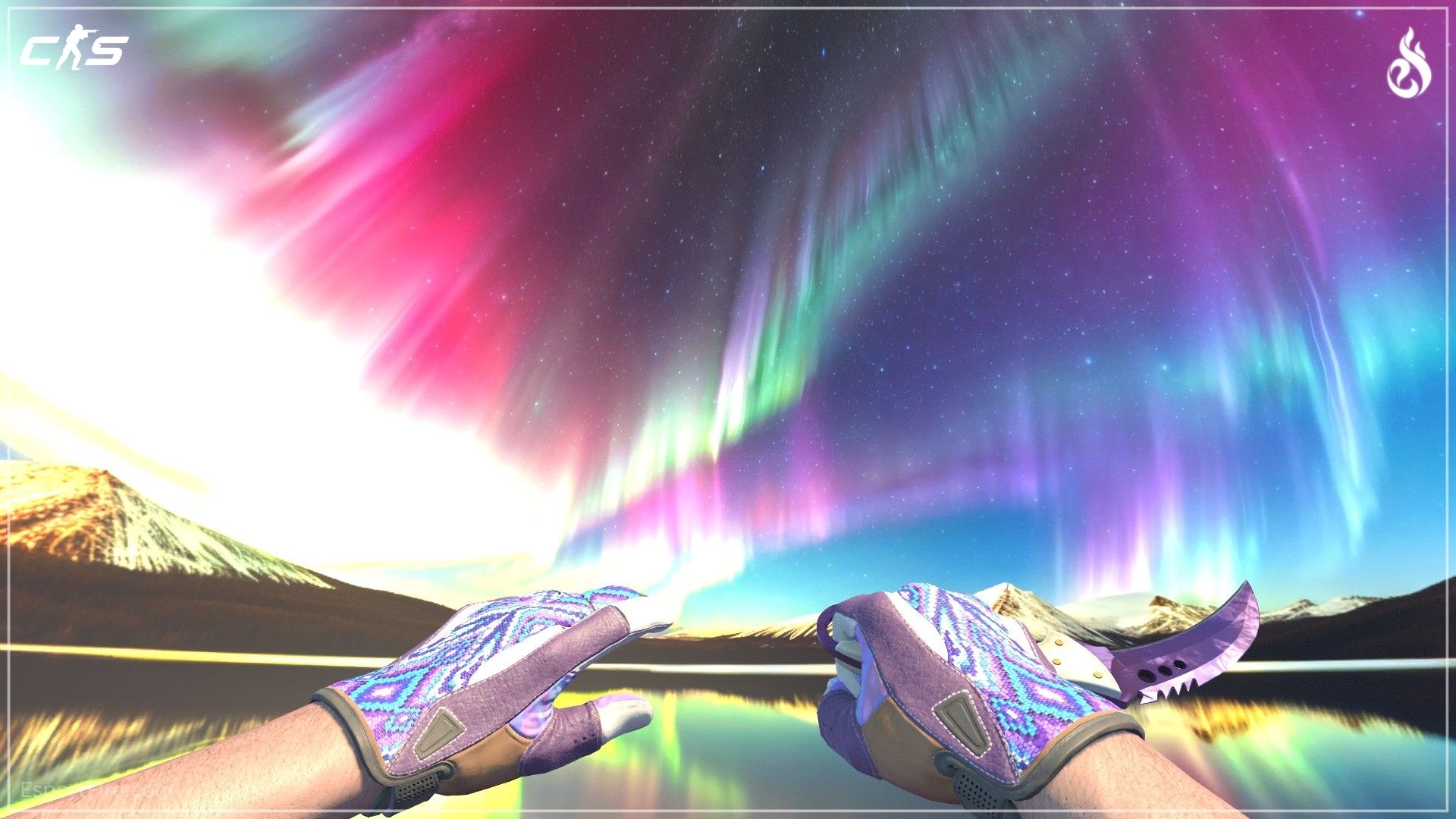 best cs2 knife and glove combo CS2 Violet Beadwork gloves and Talon Knife Black Pearl purple combo