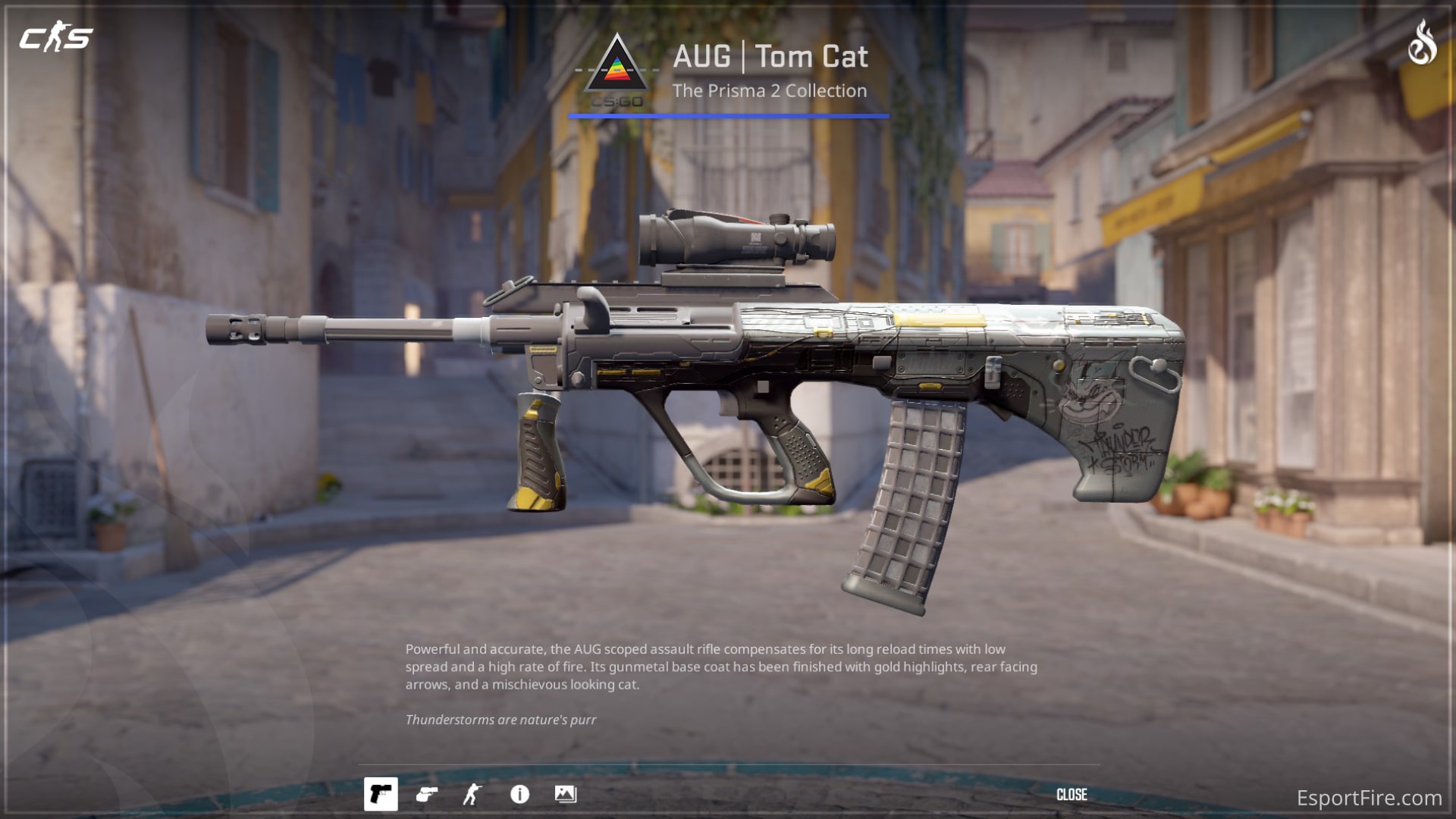 Best Cheap AUG Skins in CS2