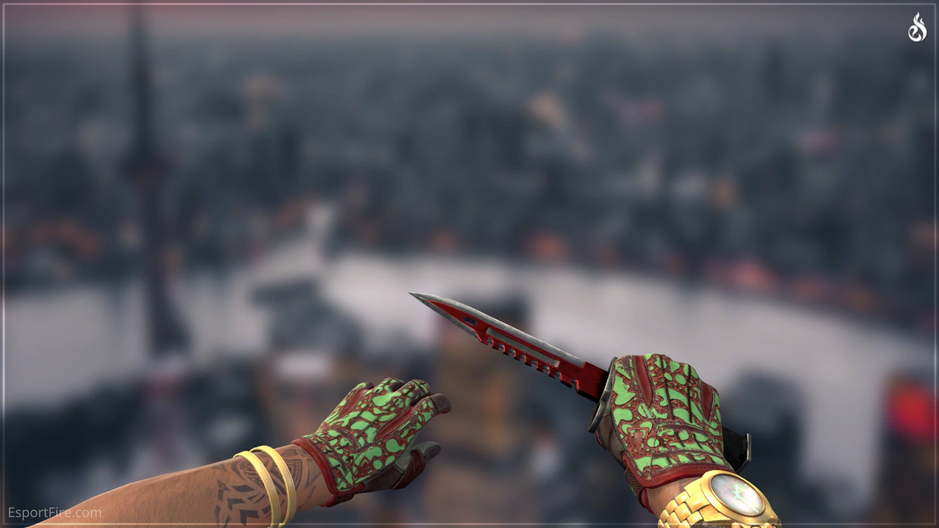 CS2 Knife Glove Combos 2024 Best Glove Knife Combos