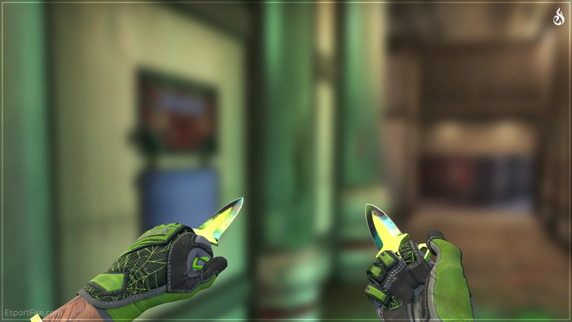 CS2 Knife Glove Combos 2024 Best Glove Knife Combos