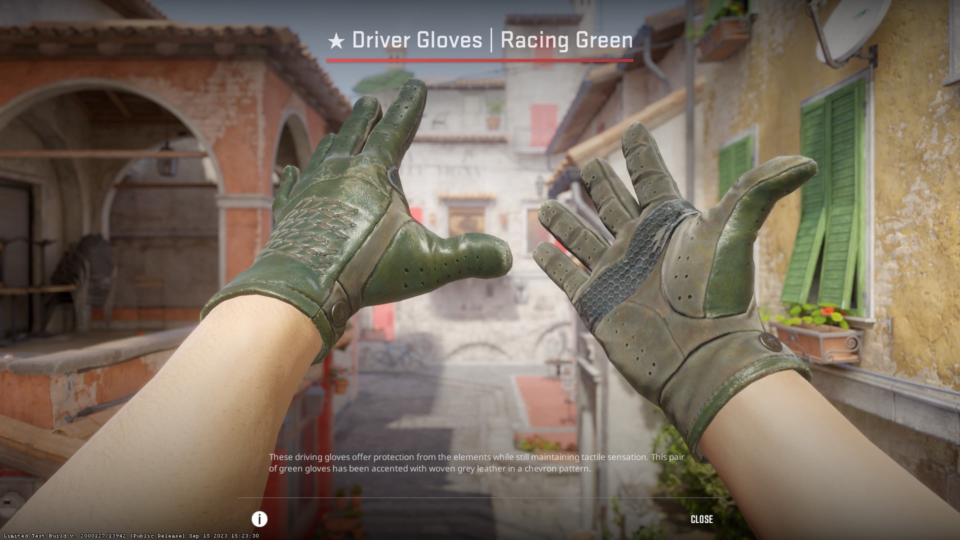 Cheapest CS2 gloves in 2024 - Driver Gloves Racing Green