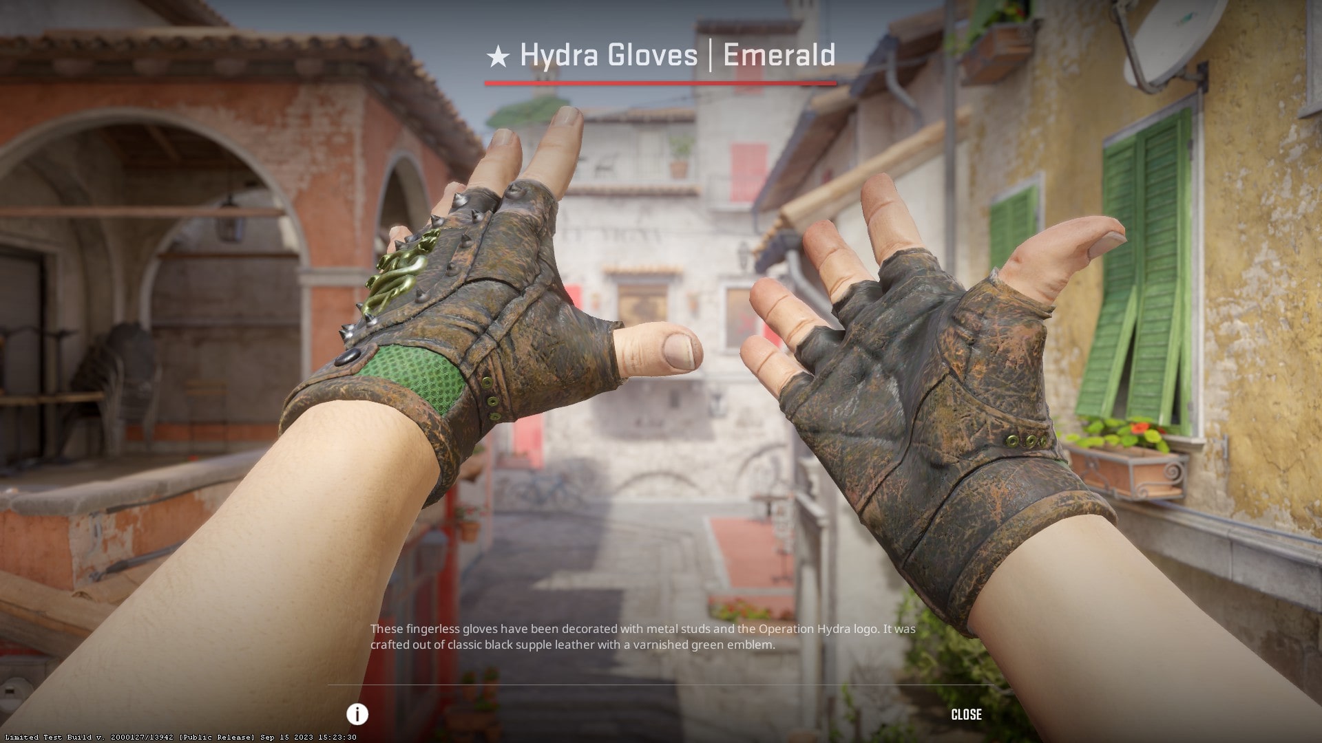 Cheapest CS2 gloves in 2024 - Hydra Gloves Emerald