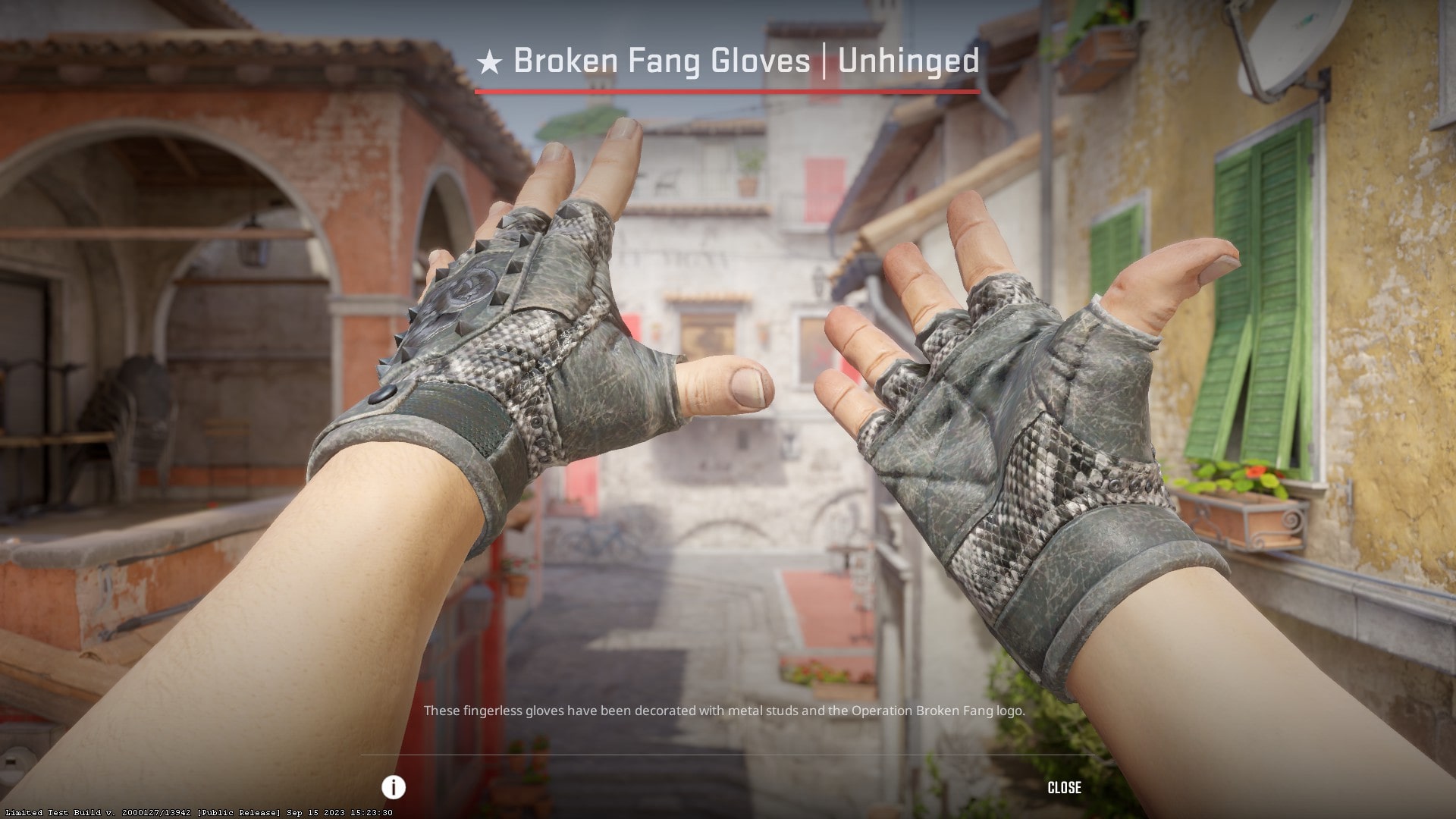 Cheapest CS2 gloves in 2024 - Broken Fang Gloves Unhinged