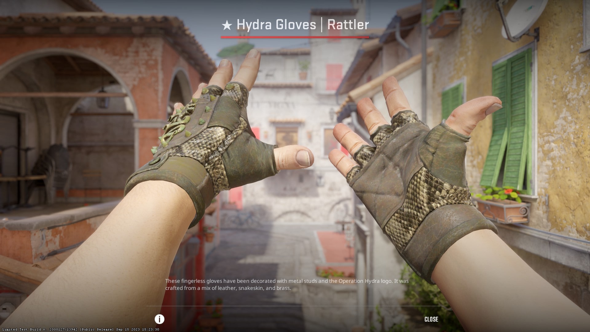 Cheapest CS2 gloves in 2024 - Hydra Gloves Rattler