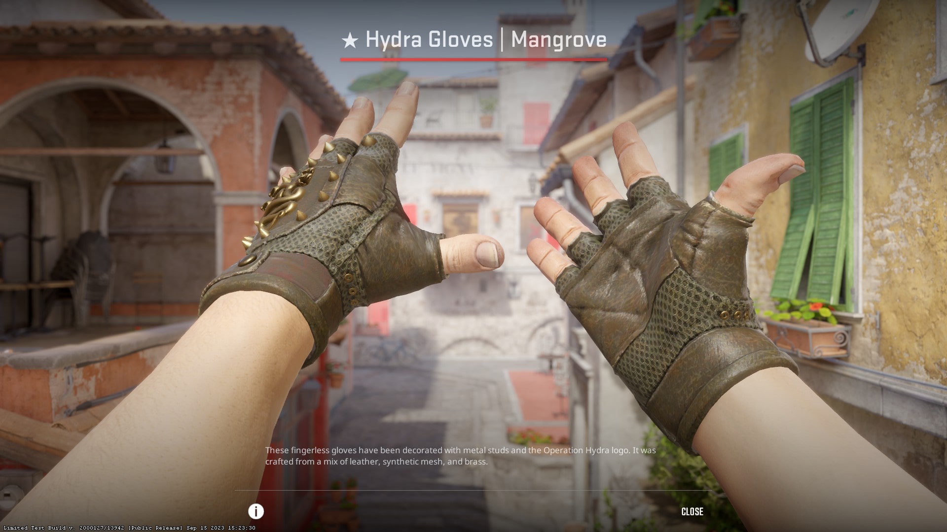 Cheapest CS2 gloves in 2024 - Hydra Gloves Mangrove