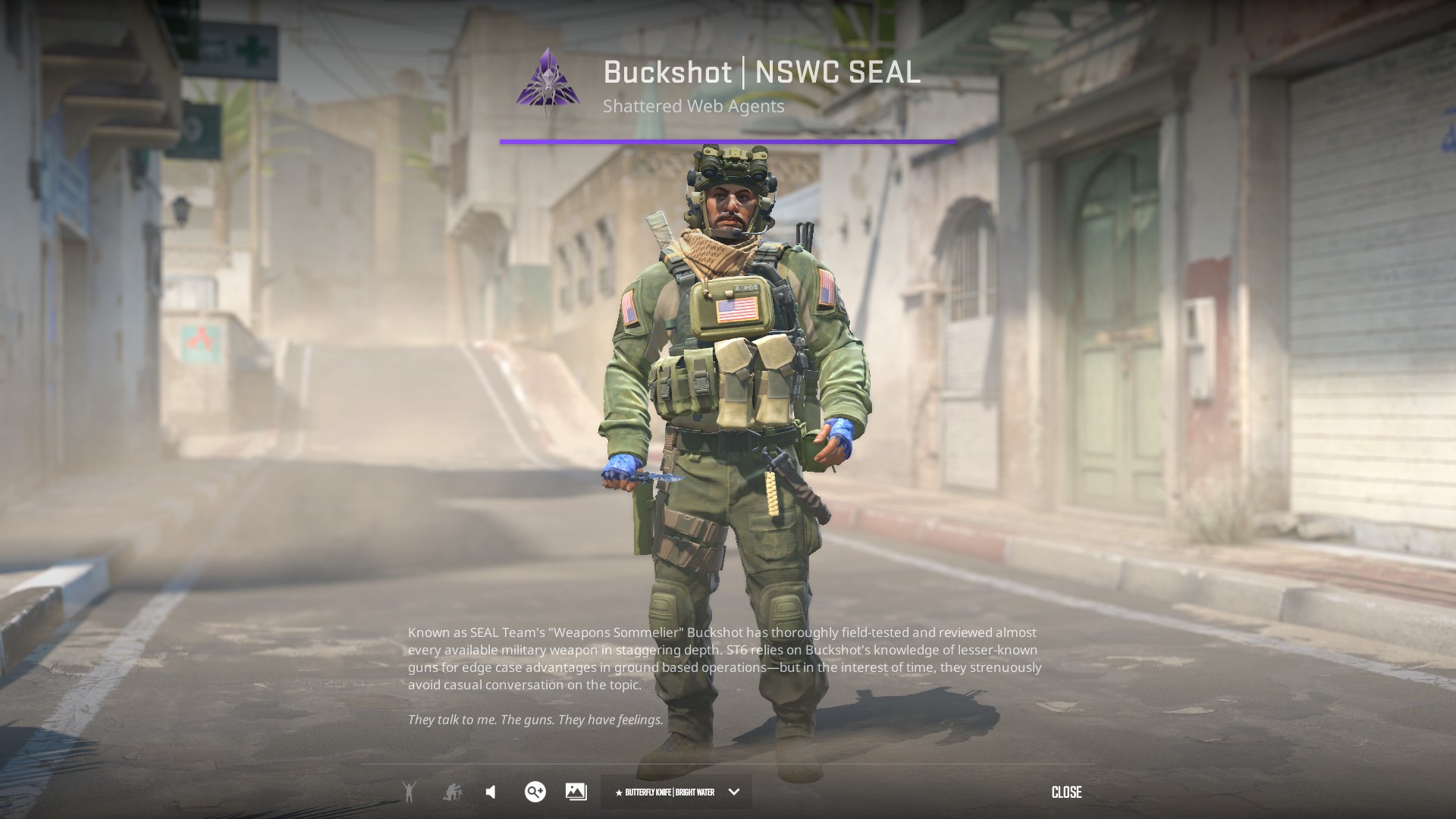Best budget and cheapest Agent Skin CS2 Buckshot NSWC Seal CT agent skin