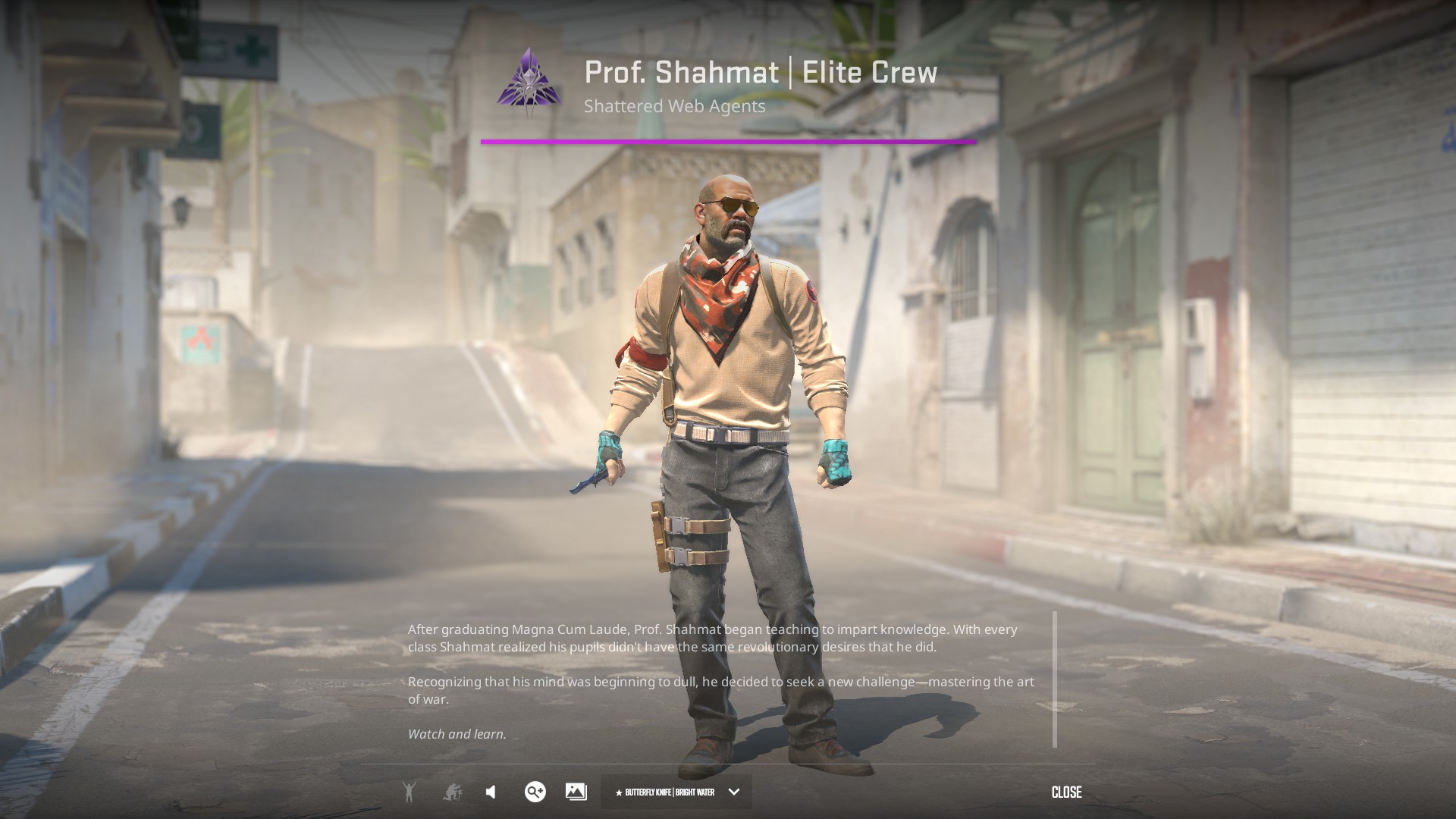 Best budget CS2 Agent Skin T agent skin cheap Prof Shahmat Elite Crew