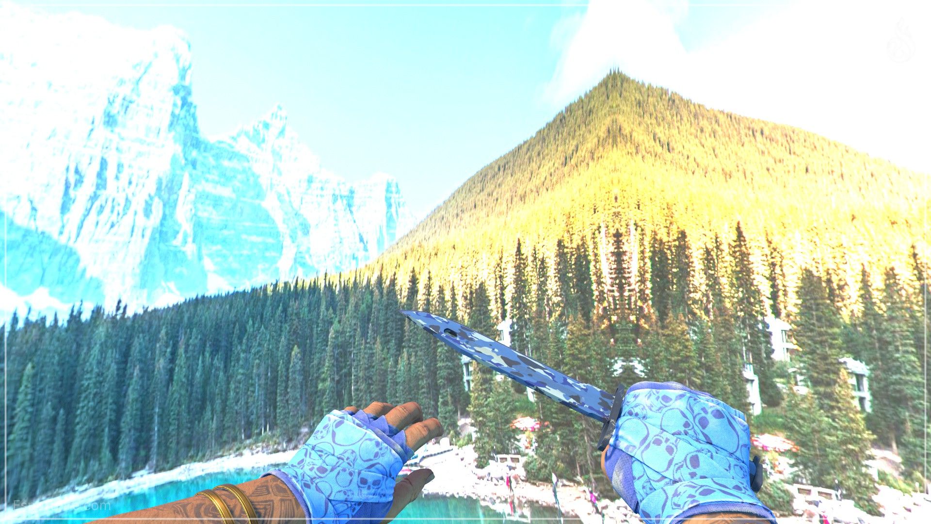 Budget blue CS2 knife and glove combo Cobalt Skulls Hand Wraps with Bayonet Bright Water