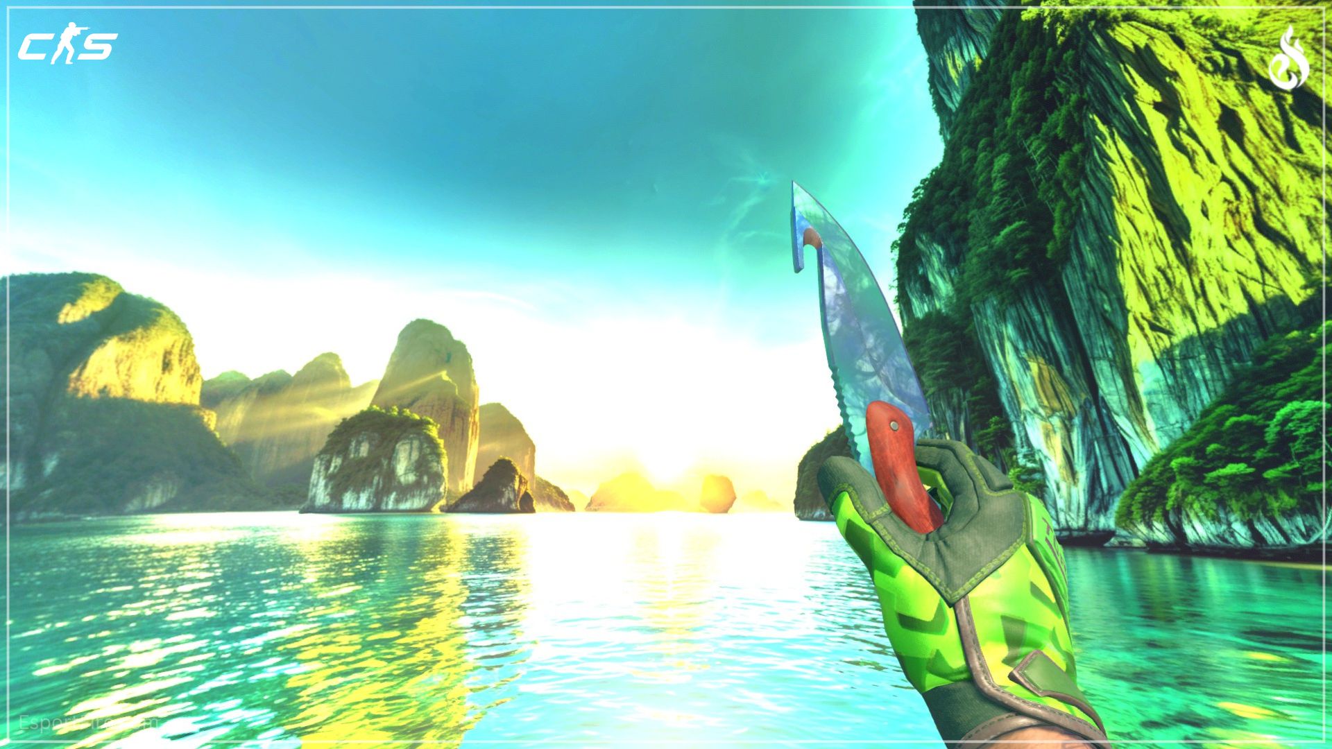 Green CS2 knife and glove combo Gamma Doppler Gut Knife with Lime Polycam Specialist Gloves