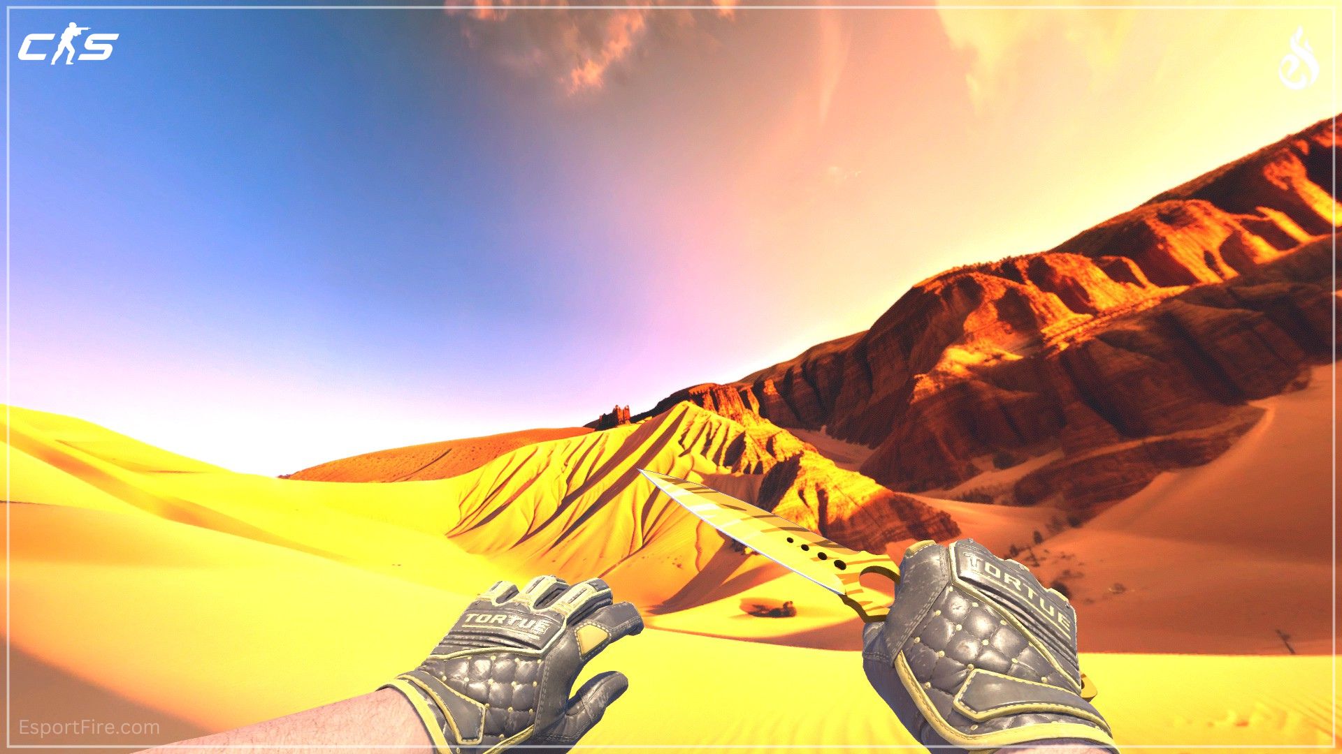 CS2 budget knife and glove combo yellow under 500 bucks Chocolate Chesterfield Gloves and Skeleton Tiger Tooth