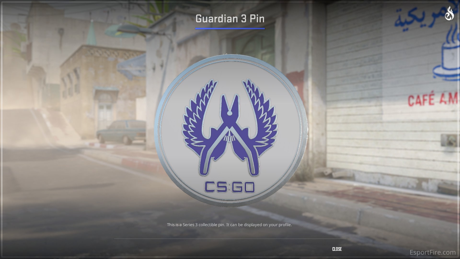 Guardian 3 Pin - Best Cheap Collectible Pins in CS2