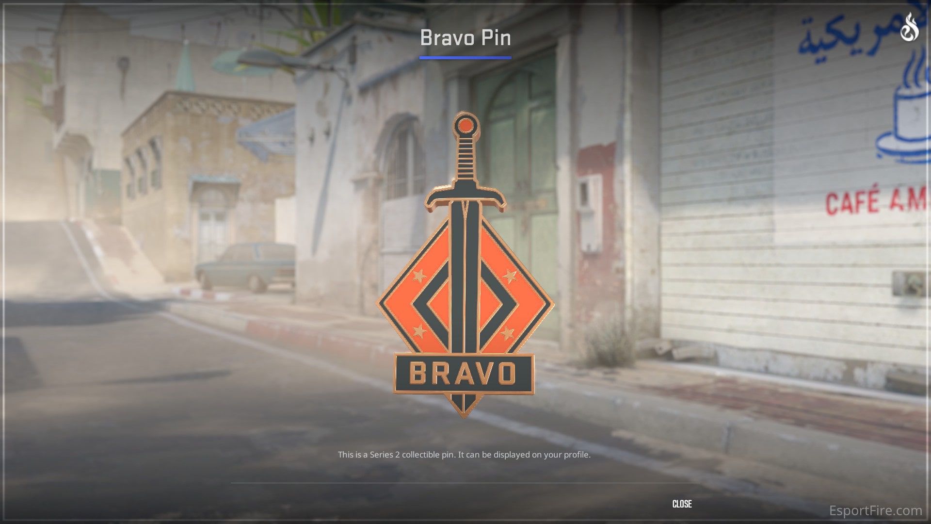 Bravo Pin - Best Cheap Collectible Pins in CS2
