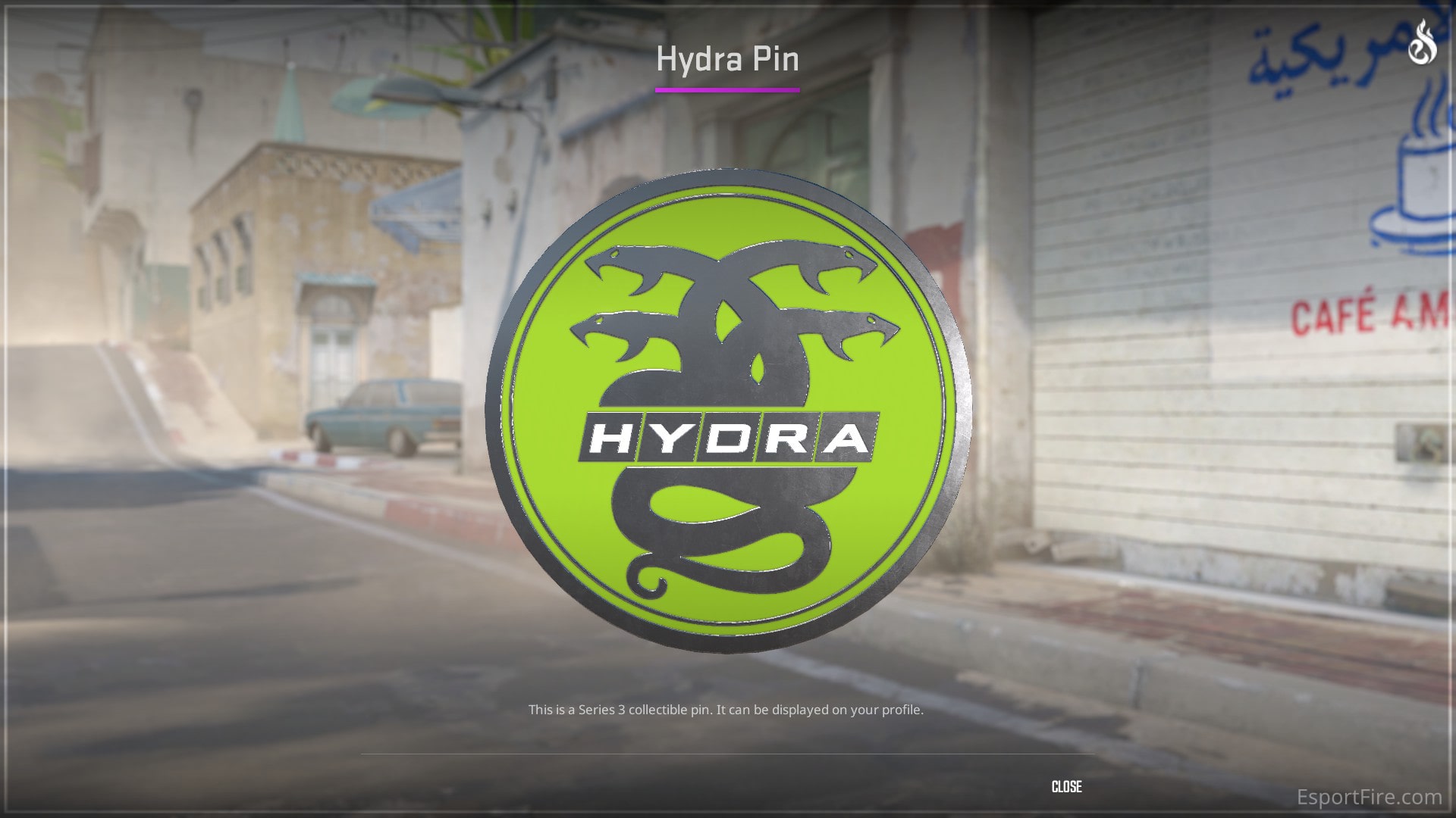 Hydra Pin - Best Cheap Collectible Pins in CS2