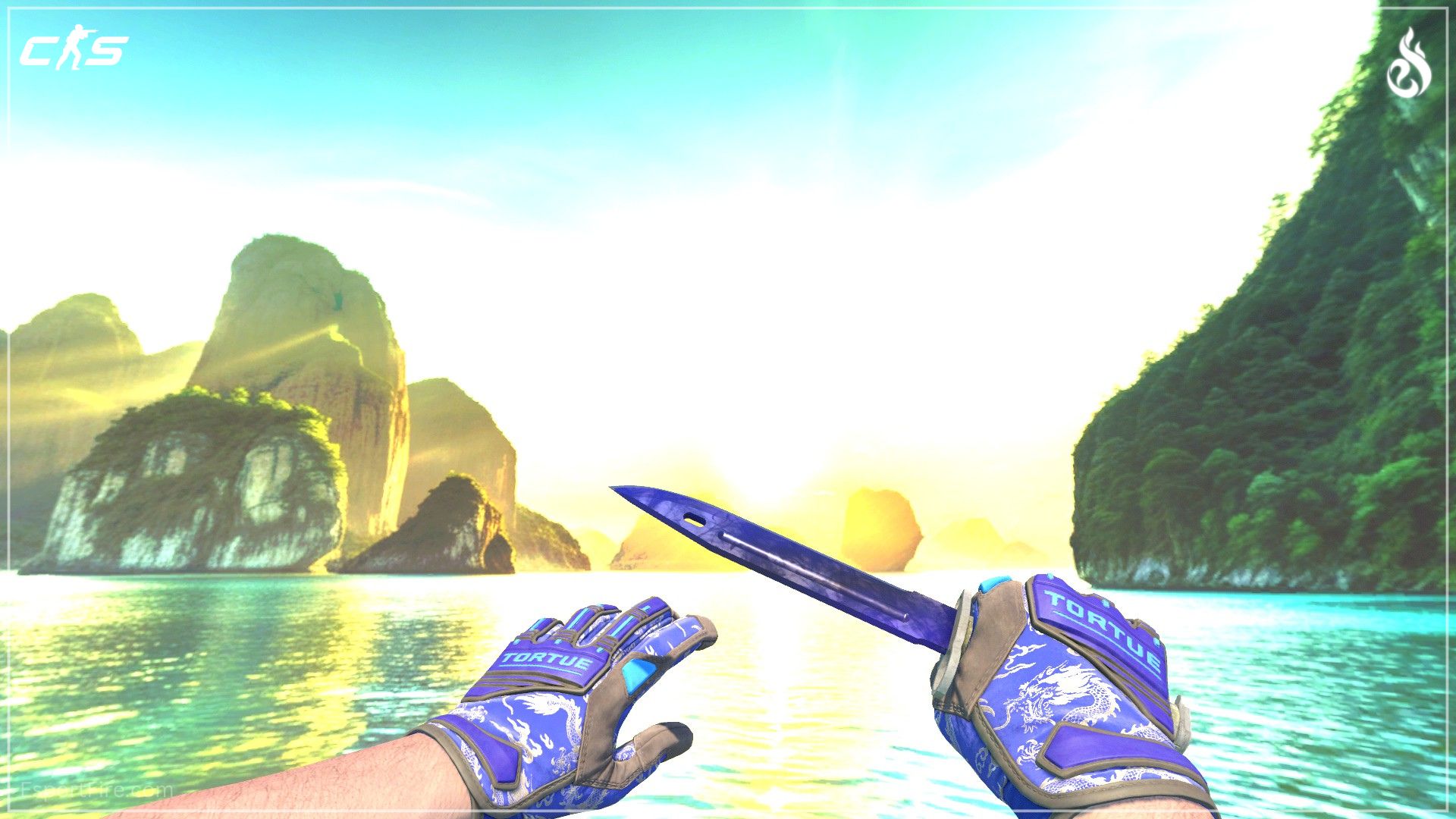 CS2 blue knife and glove combo with Bayonet Doppler and Cloud Chaser gloves
