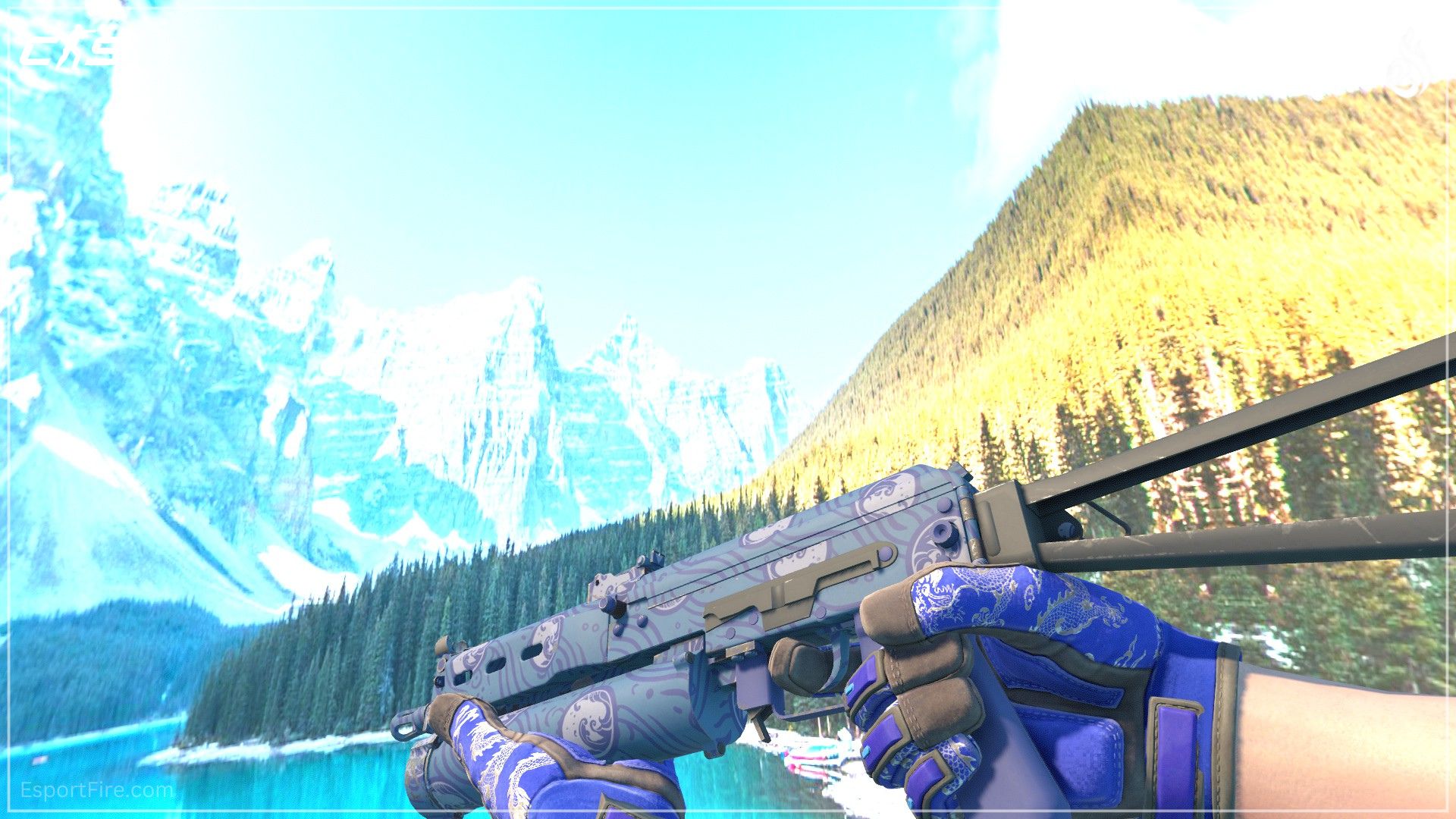 PP-Bizon Water Sigil CS2 blue loadout skin