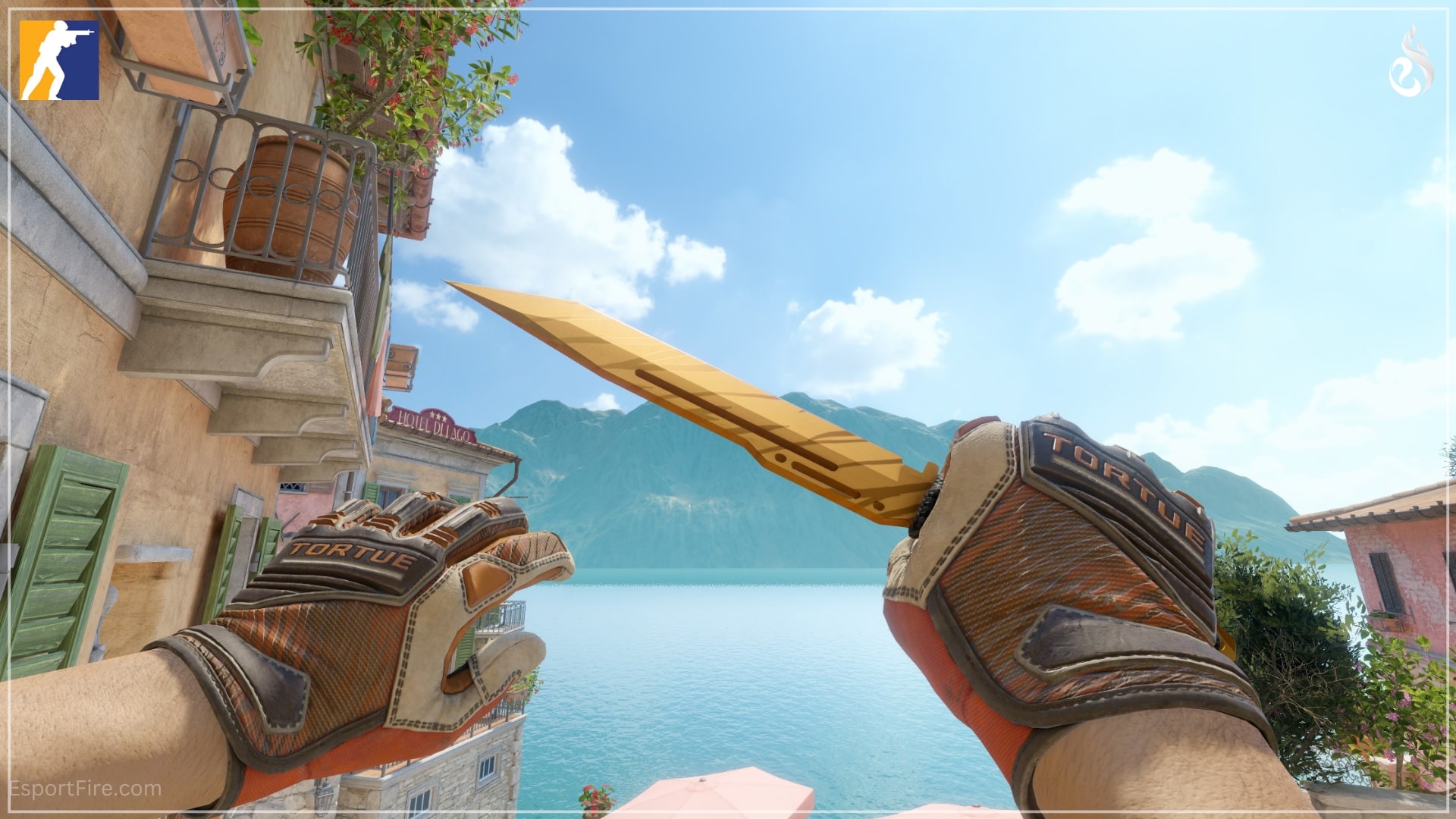 Affordable Combos in CS2