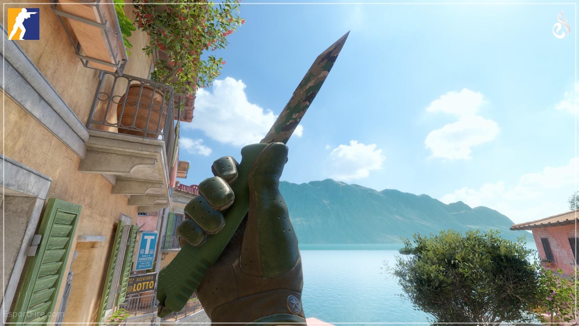 Affordable Combos in CS2