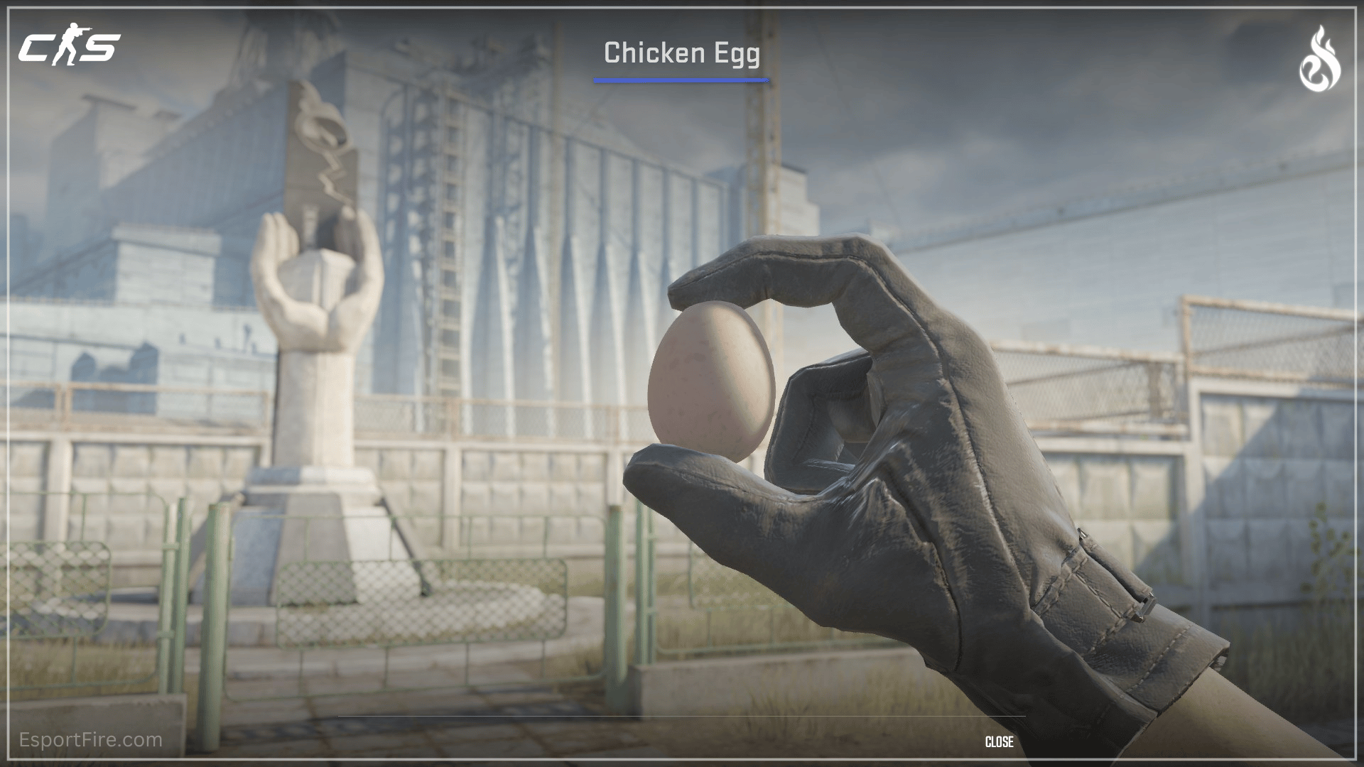 New Chicken Pets Egg Inspect CS2